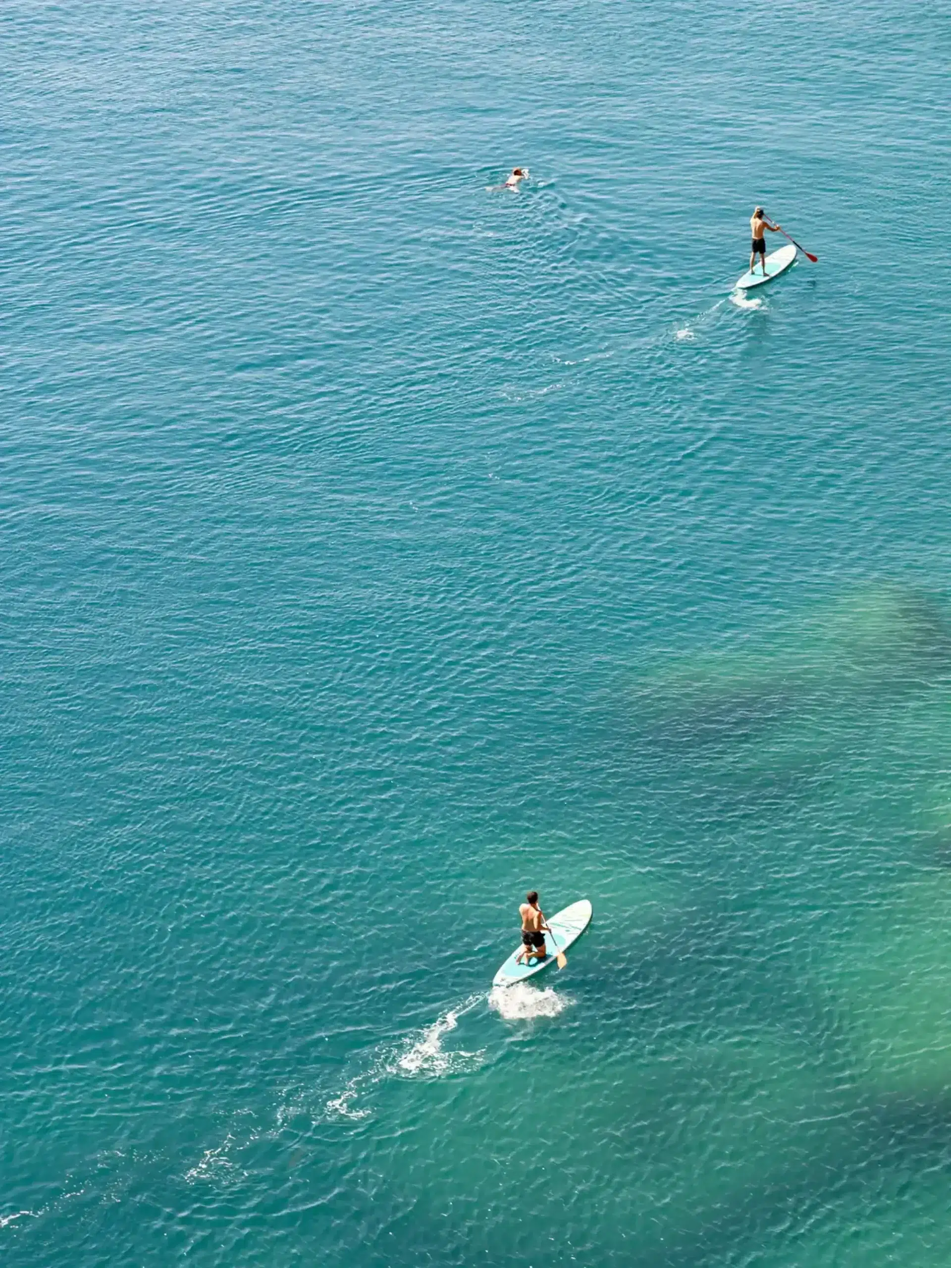 sup surf