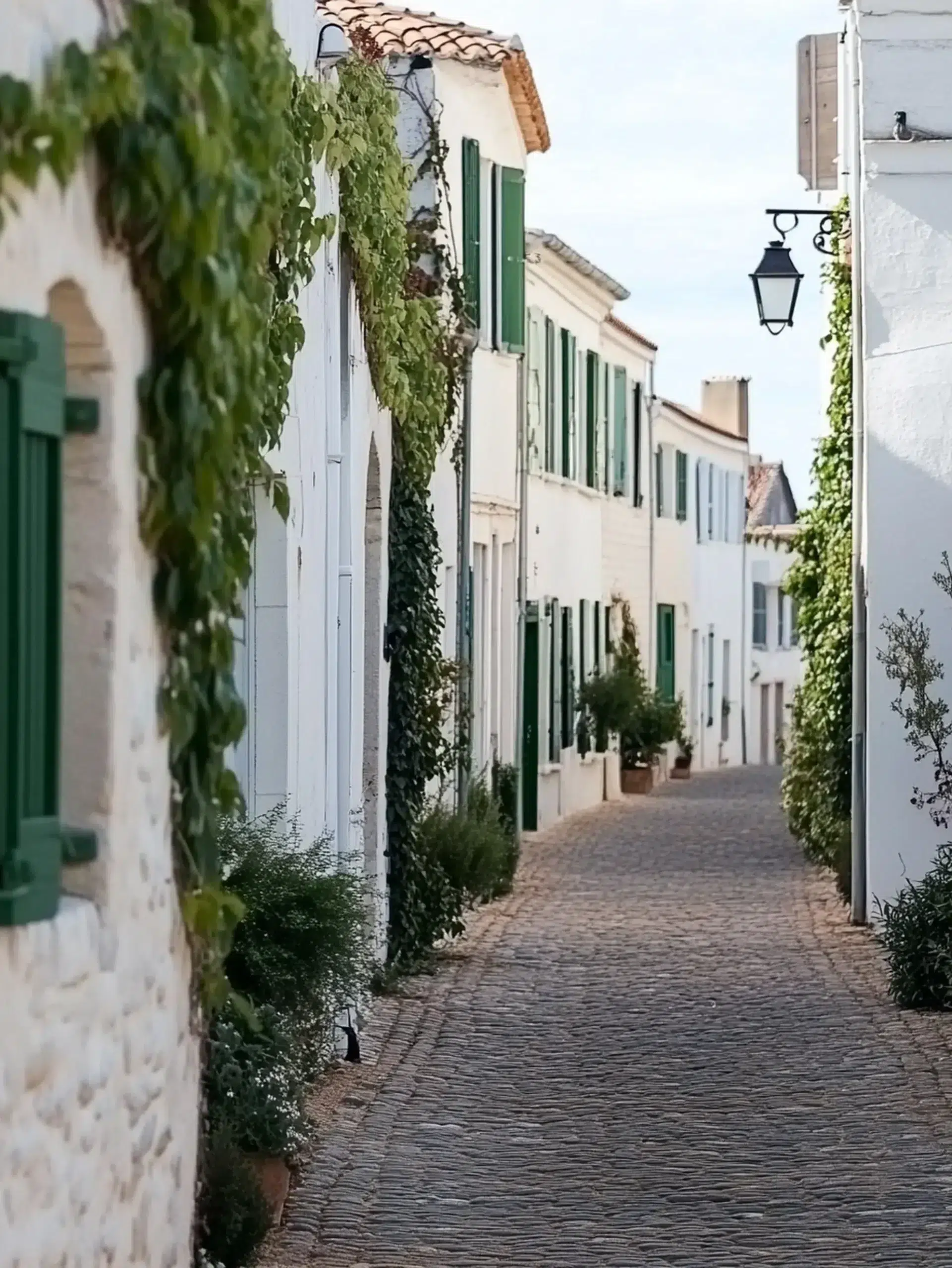village la flotte ile de re
